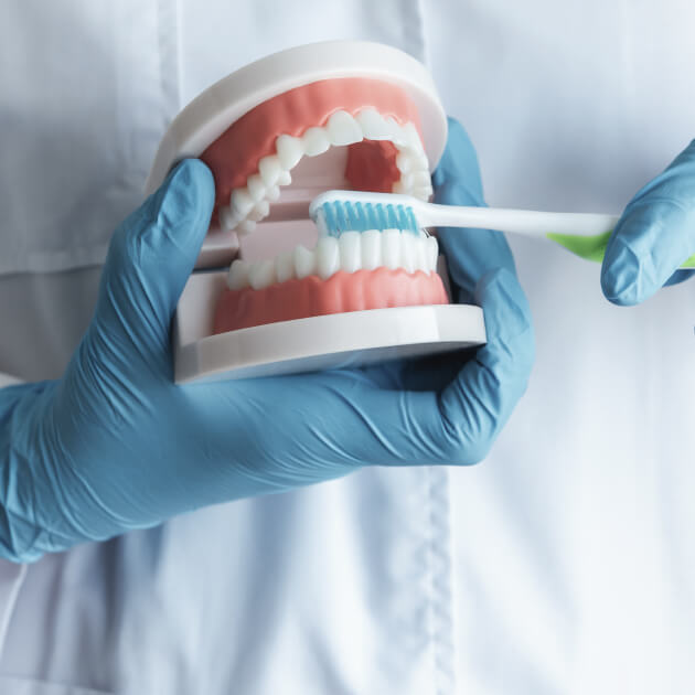 dentist showing how to brush teeth on artificial mouth